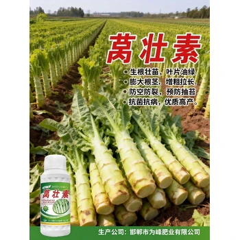 增粗增產(chǎn)萵筍三控萵筍葉面肥排名,為峰肥業(yè)萵筍葉面肥