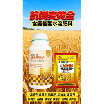 促進分蘗糧滿倉小麥高產(chǎn)增產(chǎn)肥廠家,麥黃金葉面肥批發(fā)