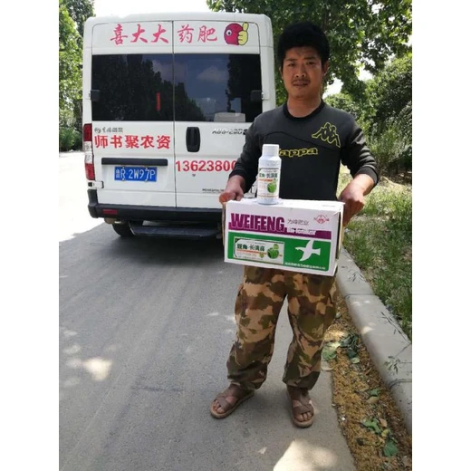 豆角滿藤藤效果好科學促莢拉直長，商品率高賣相好