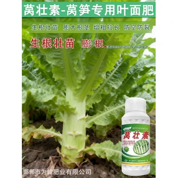 膨大根莖萵壯素萵筍葉面肥招商,為峰肥業(yè)萵筍葉面肥