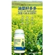 油菜葉面肥圖