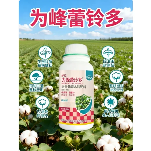 為峰蕾鈴多效果好免打頂控旺長(zhǎng)，授粉保蕾防三落