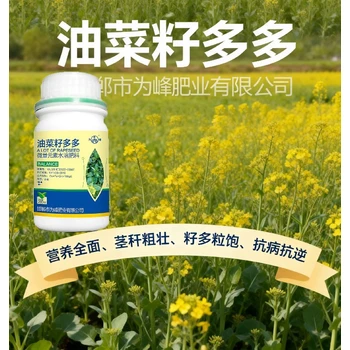 花芽分化油菜專用油菜葉面肥哪里賣,為峰肥業(yè)廠家批發(fā)