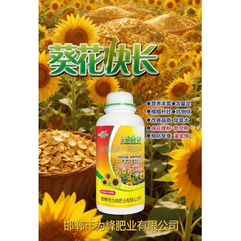 葵花促進授粉葵花增產(chǎn)葉面肥哪里買,葵花高產(chǎn)葉面肥