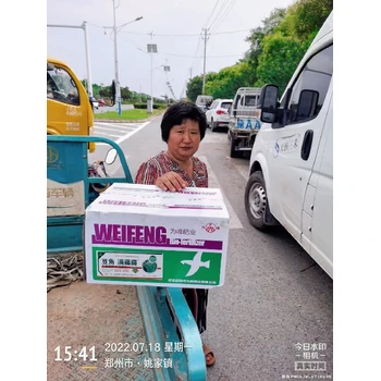 促授粉?；ūＧv拉直翠綠豆角滿藤藤怎么購買