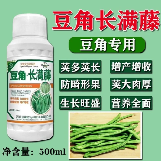 促授粉護(hù)莢拉直豆角滿藤藤正品批發(fā)