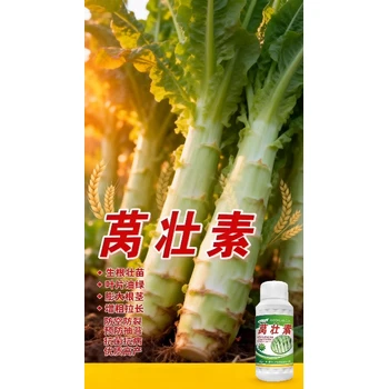 預(yù)防抽苔萵筍粗直長萵筍葉面肥排名,為峰肥業(yè)萵筍葉面肥