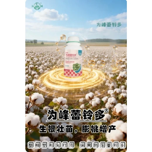 為峰蕾鈴多代理授粉保蕾控旺長(zhǎng)，防三落塑緊湊株