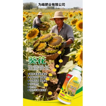 向日葵授粉灌漿葵花增產(chǎn)葉面肥加工,向日葵專用肥料