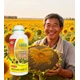 向日葵生根壯苗葵花增產(chǎn)葉面肥廠家電話,為峰肥業(yè)葵花葉面肥圖