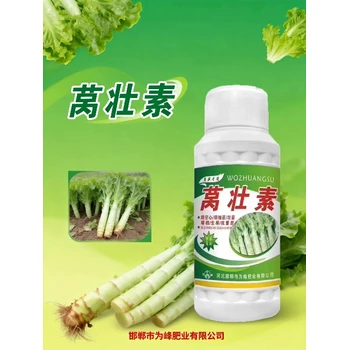 預(yù)防抽苔萵壯素萵筍葉面肥哪種好,為峰肥業(yè)萵筍葉面肥