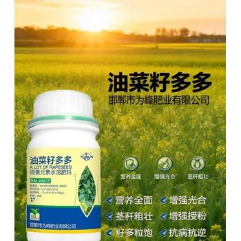 花芽分化油菜籽多多油菜葉面肥哪里賣,為峰肥業(yè)廠家批發(fā)