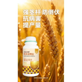 灌漿飽籽返青肥小麥高產(chǎn)增產(chǎn)肥排名,小麥胖墩廠家招商