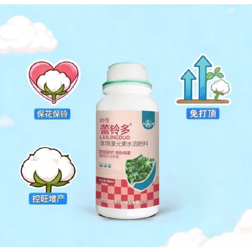 抑徒促授粉，棉桃滿枝獲高產為峰蕾鈴多廠家