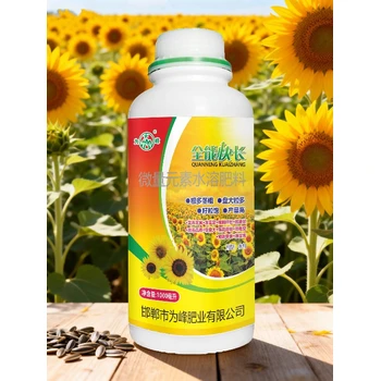望日葵促進(jìn)授粉葵花增產(chǎn)葉面肥聯(lián)系電話,為峰肥業(yè)葵花葉面肥