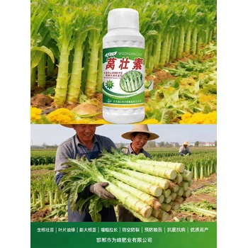 快速膨大萵筍三控萵筍葉面肥批發(fā),為峰肥業(yè)萵筍葉面肥