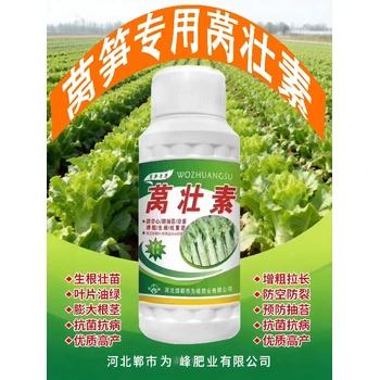 膨大根莖萵沃多萵筍葉面肥經銷商,萵筍萵壯素廠家批發(fā)