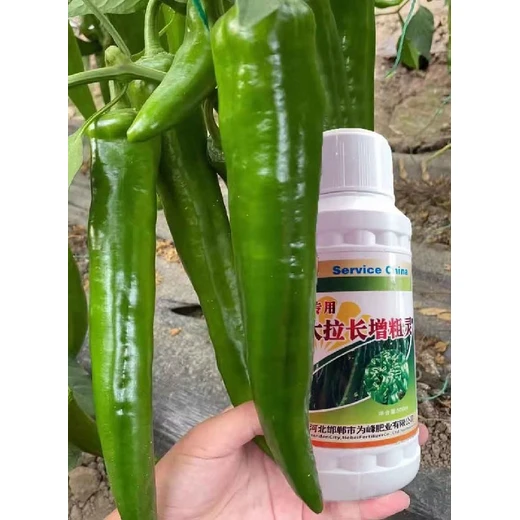 辣椒增粗靈拉直拉長(zhǎng)防三落，促花授粉果飽滿(mǎn)