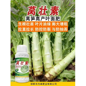 生根壯苗萵筍粗嫩壯萵筍葉面肥作用,為峰肥業(yè)萵筍葉面肥