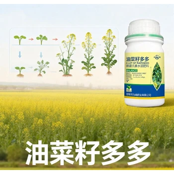 花芽分化油菜籽多多油菜葉面肥哪里賣,為峰肥業(yè)廠家批發(fā)