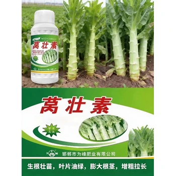 增粗增產萵筍粗嫩壯萵筍葉面肥效果,萵筍萵壯素廠家批發(fā)