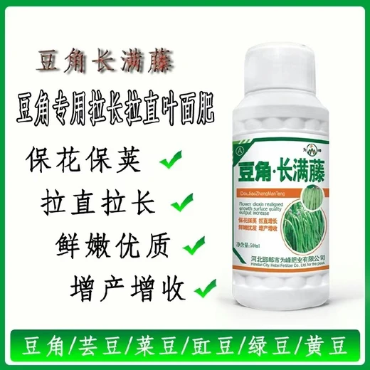 豆角滿藤藤怎么購買豆角拉直翠綠抗銹病