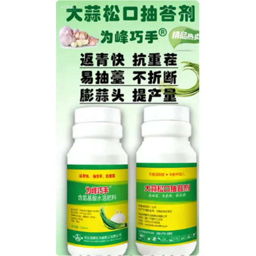 大蒜松口抽苔劑正品批發(fā)壯苗生根膨蒜頭，易抽苔防折斷