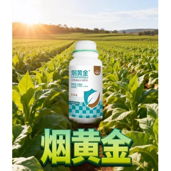 煙草大又好煙葉豐產(chǎn)素作用,為峰肥業(yè)煙黃金廠家批發(fā)