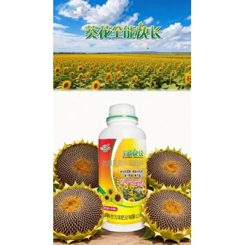 葵花促進授粉葵花增產(chǎn)葉面肥哪里買,葵花高產(chǎn)葉面肥