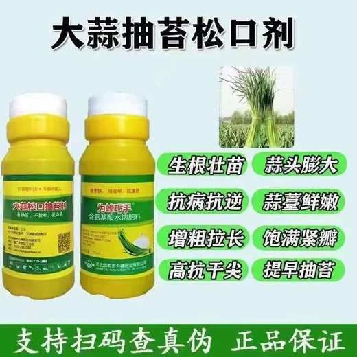 防黃葉促抽苔，生根壯苗蒜膨大大蒜松口抽苔劑