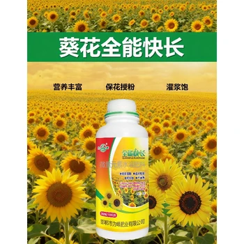 向日葵膨大籽粒葵花增產(chǎn)葉面肥聯(lián)系電話,為峰肥業(yè)葵花葉面肥