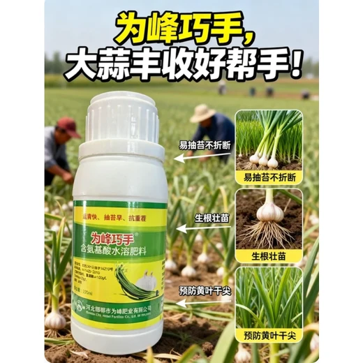 大蒜松口抽苔劑價(jià)格生根壯苗抽苔易，防黃尖蒜膨大