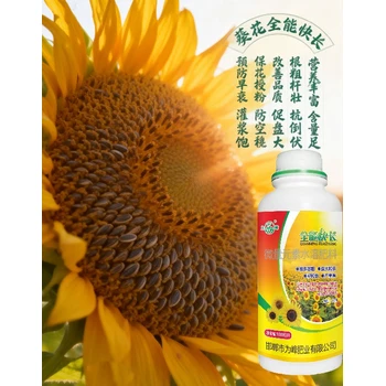 向日葵花芽分化葵花增產(chǎn)葉面肥含量,葵花快長(zhǎng)廠(chǎng)家批發(fā)