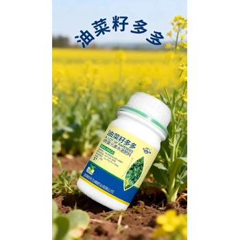 花芽分化油菜籽多多油菜葉面肥哪里賣,為峰肥業(yè)廠家批發(fā)
