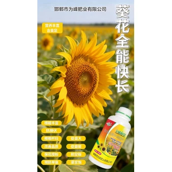 望日葵促進(jìn)授粉葵花增產(chǎn)葉面肥聯(lián)系電話,為峰肥業(yè)葵花葉面肥