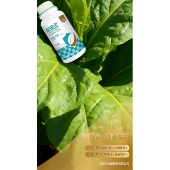 煙草大又好煙葉豐產(chǎn)素作用,為峰肥業(yè)煙黃金廠家批發(fā)