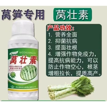 增粗拉長(zhǎng)萵筍粗嫩壯萵筍葉面肥水溶肥,萵筍萵壯素廠家批發(fā)