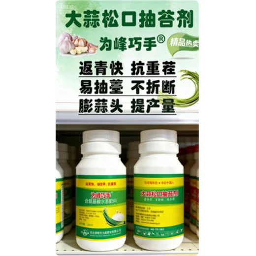 為峰巧手大蒜松口抽苔劑生根膨蒜促抽苔，防黃葉不折損
