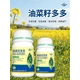 油菜葉面肥加工圖