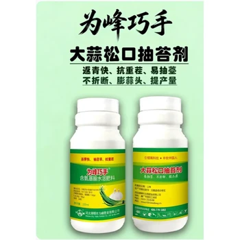 大蒜松口抽苔劑代理防干尖促生根，壯苗抽苔膨蒜頭