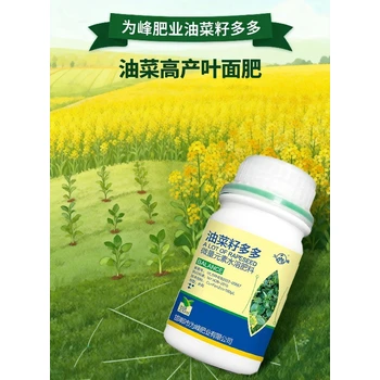 花芽分化油菜專用油菜葉面肥哪里賣,為峰肥業(yè)廠家批發(fā)