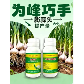 膨蒜頭防黃尖，壯苗生根易抽苔為峰巧手大蒜松口抽苔劑