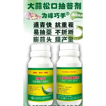 抽苔不折壯苗旺，生根膨蒜防黃尖大蒜松口抽苔劑代理