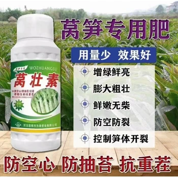 預(yù)防抽苔萵壯素萵筍葉面肥哪種好,為峰肥業(yè)萵筍葉面肥
