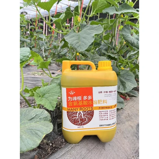 促毛細(xì)根瘋長(zhǎng)根群龐大固土強(qiáng)?根多多價(jià)格