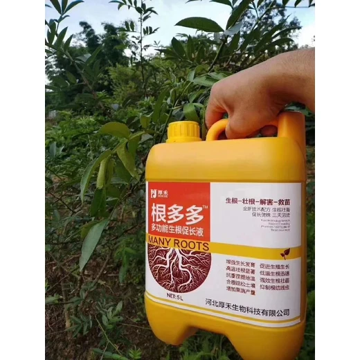 修復(fù)斷根弱根植株快速復(fù)健壯?根多多代理