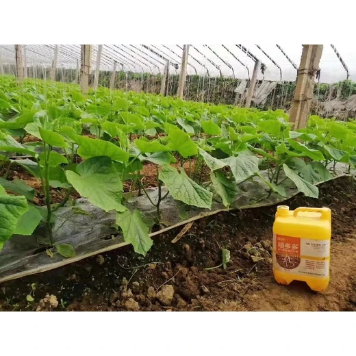 速生新根壯毛細(xì)根群繁茂抗逆佳?根多多怎么代理