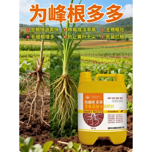 生根迅速返青快弱苗轉(zhuǎn)眼變壯苗?根多多正品
