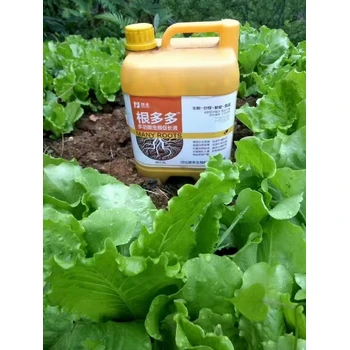 毛細根多長勢旺生根快速根群大?為峰肥業(yè)根多多