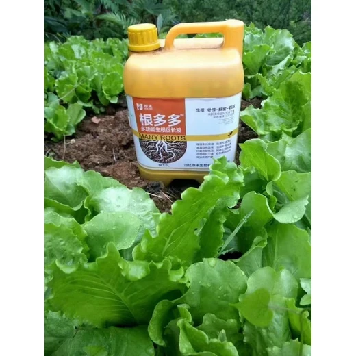 快速萌發(fā)毛細根根群繁茂吸肥強?根多多怎么代理